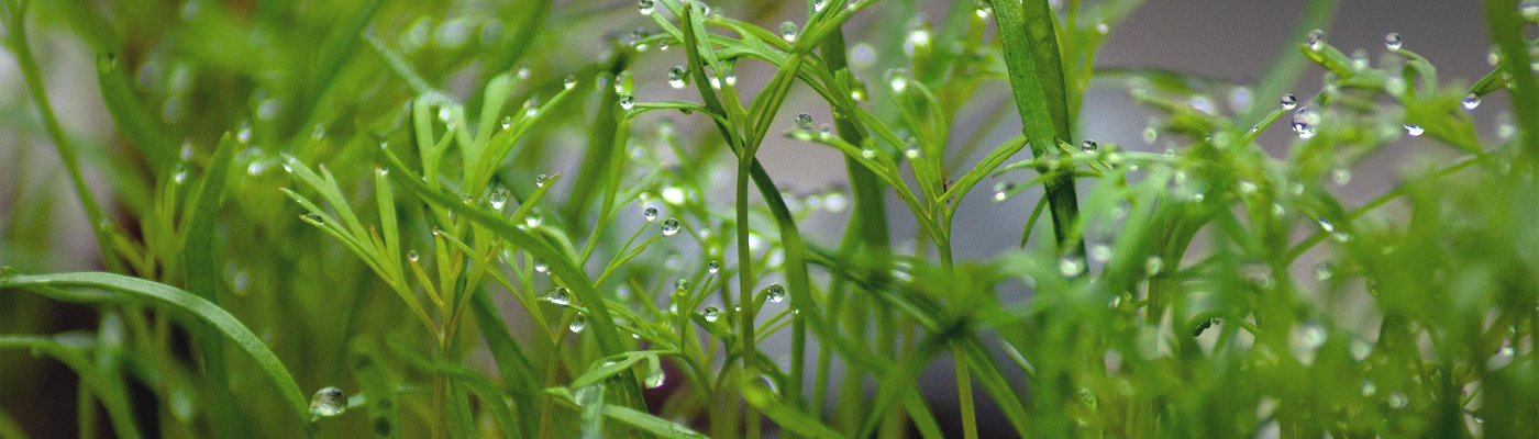 Reliable customer service